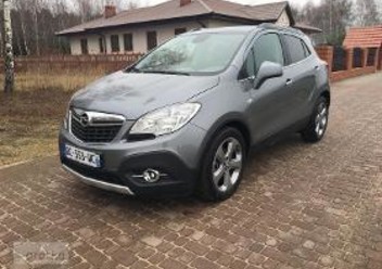 Olej hydrauliczny Opel Mokka