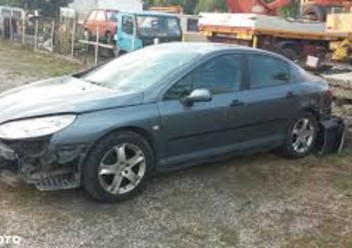 Tarcze hamulcowe tylne Peugeot 407