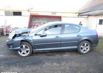 Tarcze hamulcowe tylne Peugeot 407